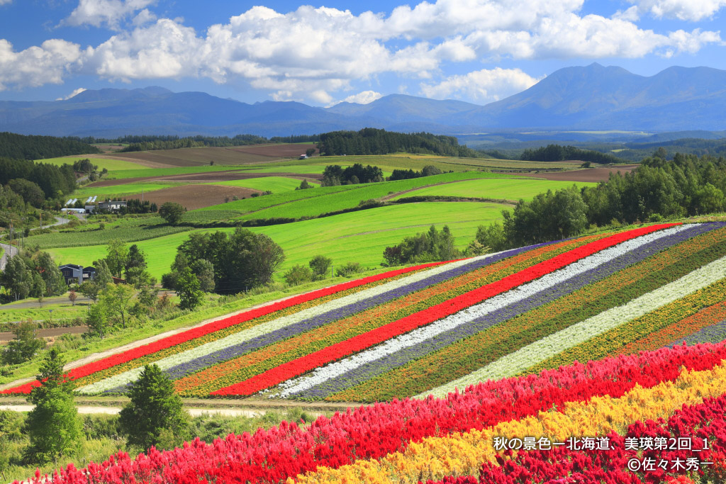 秋の景色 北海道 美瑛第2回 美しい日本の写真館 Cool Photo Japan 佐々木秀一