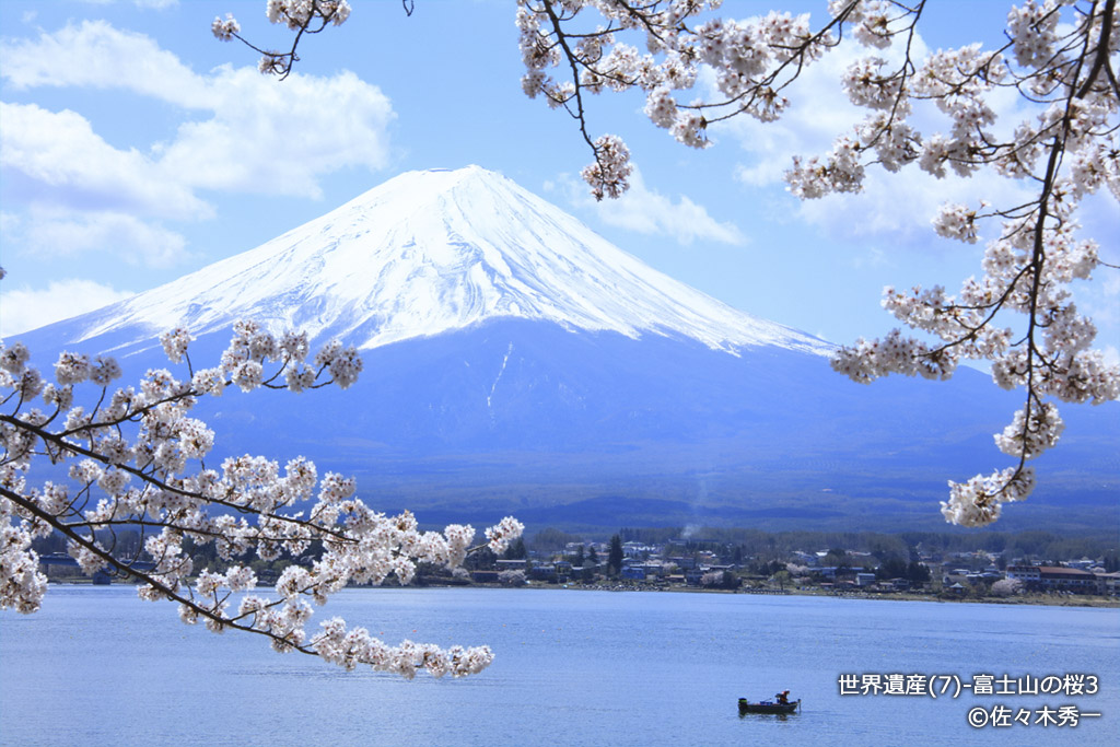 世界遺産 富士山 写真　さくらと富士山　A4又は2L版 額付き